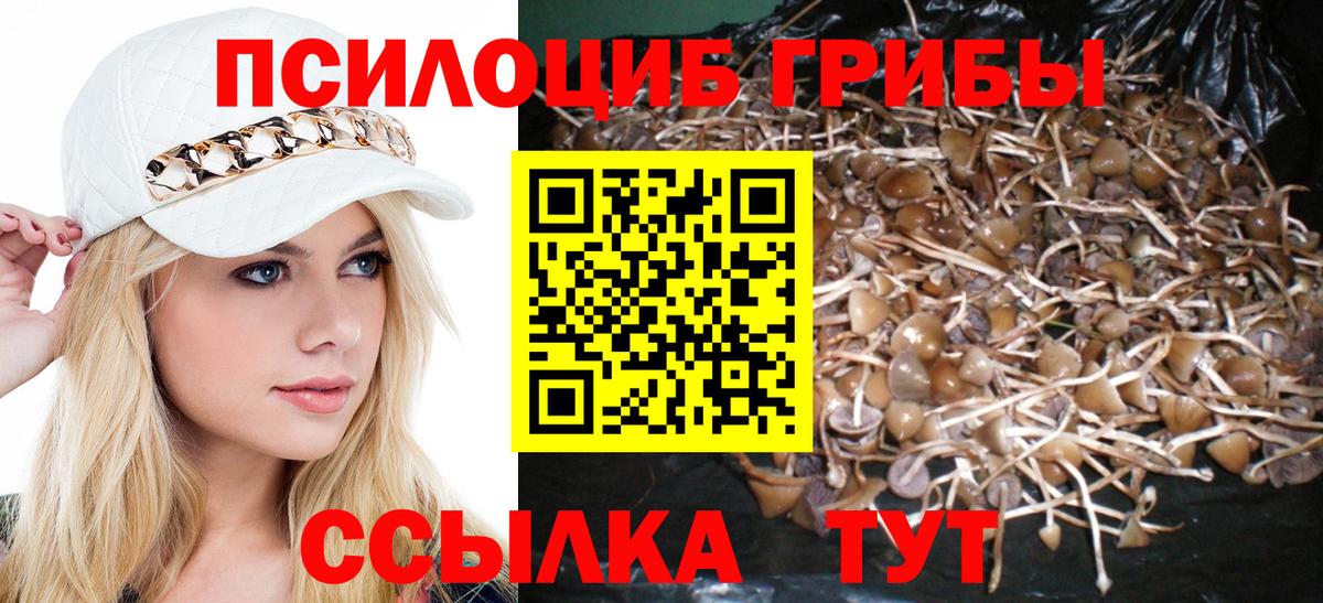 Вышний Волочёк  Псилоцибиновые грибы мицелий  где продают   Вход с VPN  Псилоцибиновые грибы Cubensis 