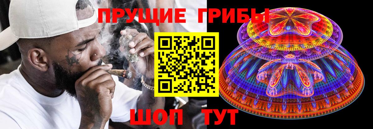 Псилоцибиновые грибы Psilocybine cubensis Вышний Волочёк